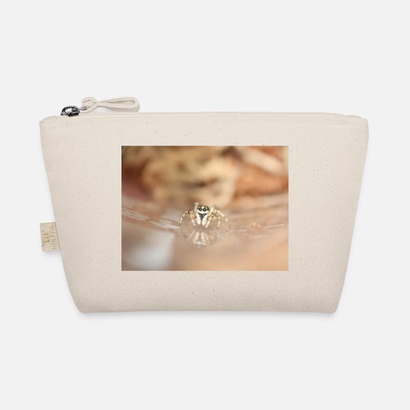 Araignée sauteuse - Trousse biologique - nature