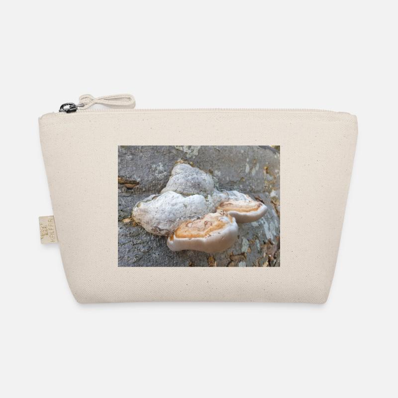 agaric chirurgien aussi champignon amadou Zunderschwamm Trousse biologique