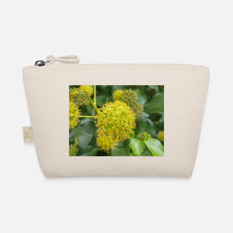 Persischer Efeu (Kolchischer Efeu) Bio-Täschchen