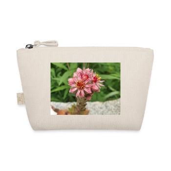 liveforever aussi poule et poussins Sempervivum - Trousse biologique - nature - Devant