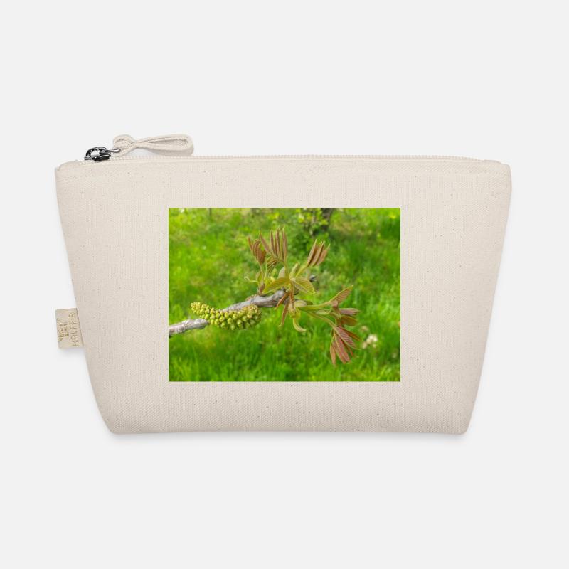 Persian walnut also common walnut Juglans regia Organic Pouch
