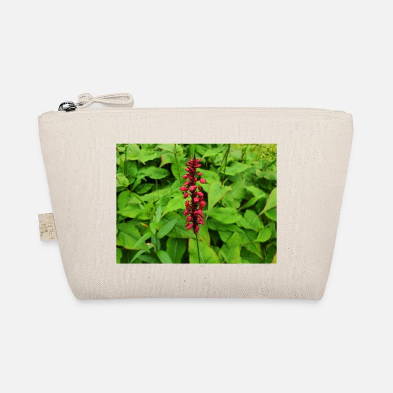 Toison des montagnes Persicaria amplexicaulis Trousse biologique