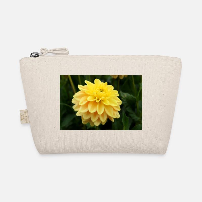 Dahlia fleur jaune, fleur Trousse biologique
