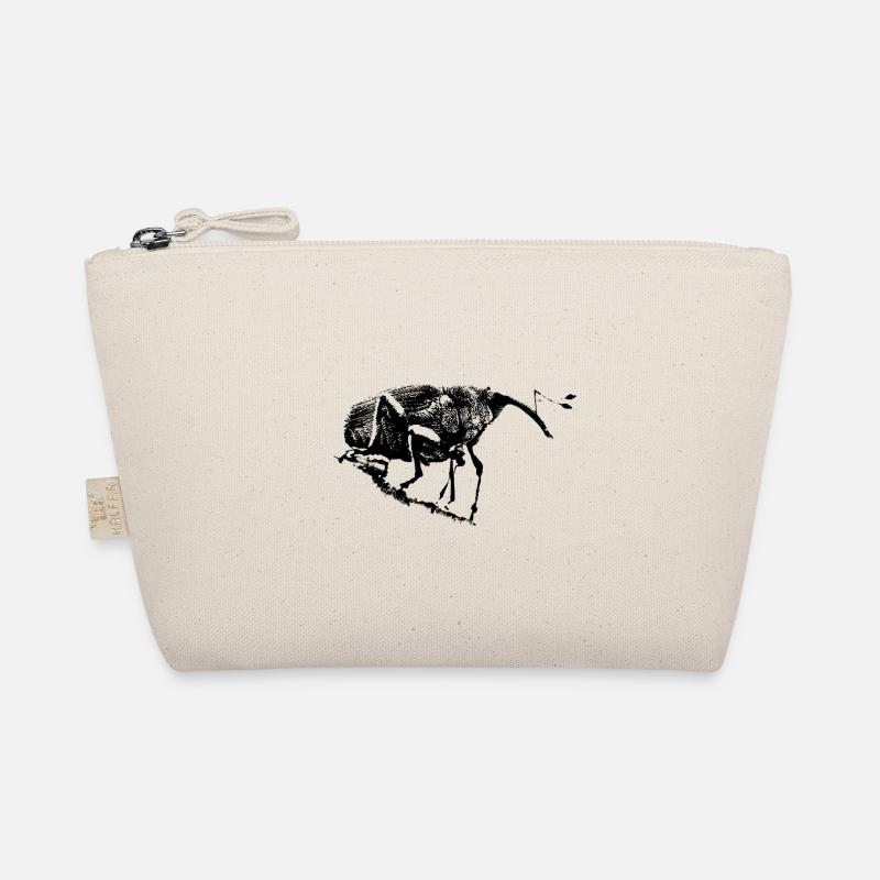 Perceuse à glands / Charançon / Insecte Trousse biologique