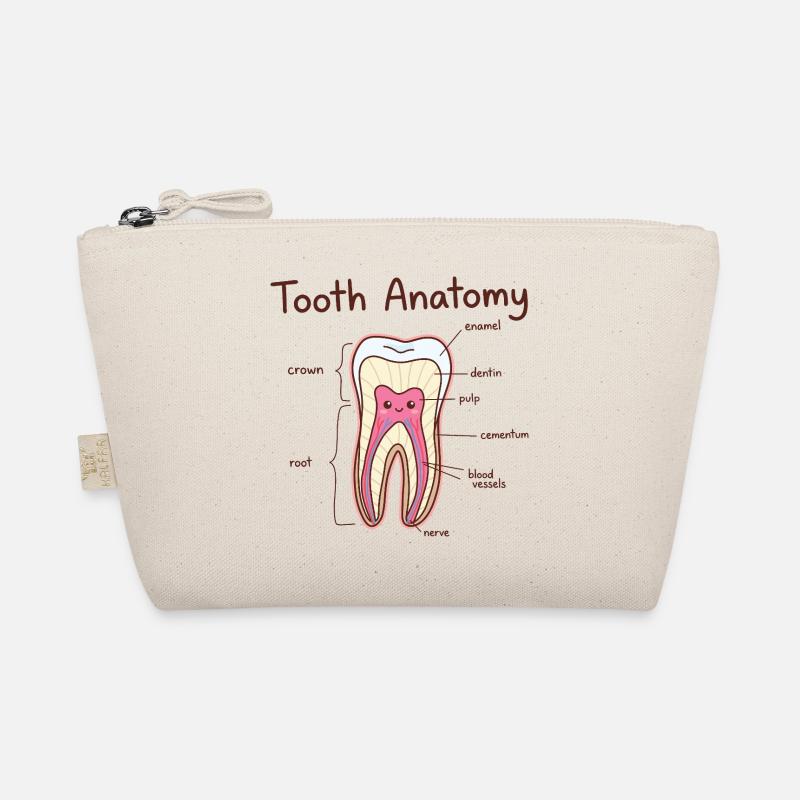 Dentiste assistant dentaire en anatomie dentaire Trousse biologique