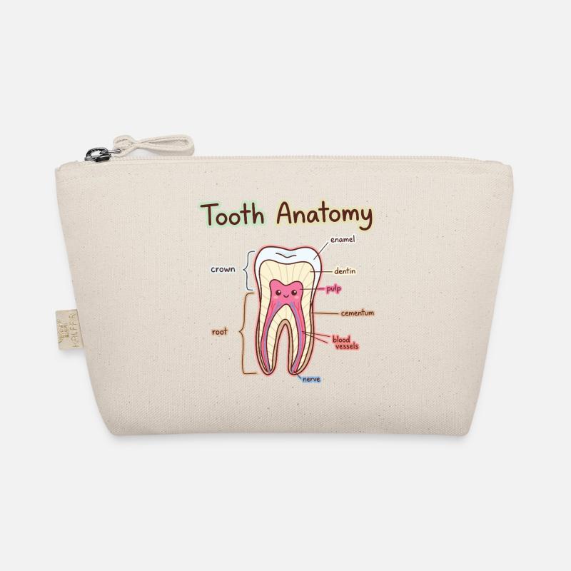 Dentiste assistant dentaire en anatomie dentaire Trousse biologique