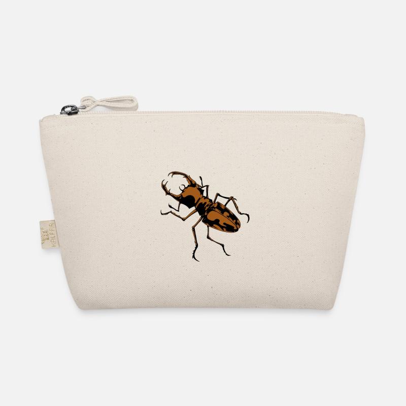 Insectes coléoptères insectes bois insectes Trousse biologique