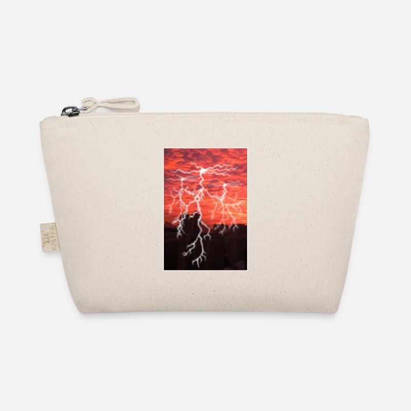 Thunderstorm weatherman gift Organic Pouch