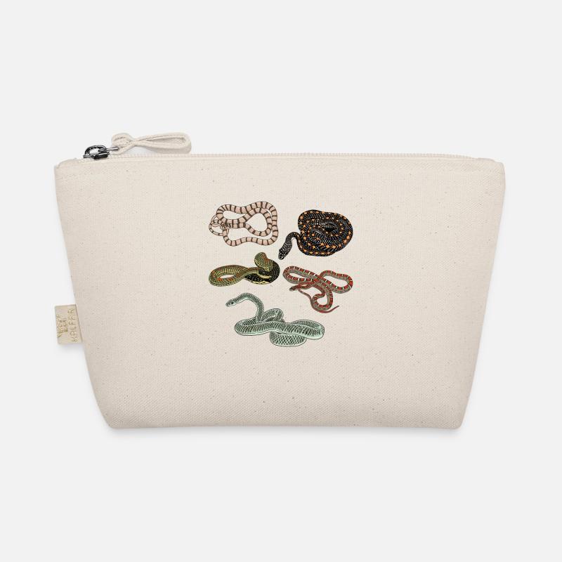 Types de serpents Chrysopelea Serpent volant Trousse biologique