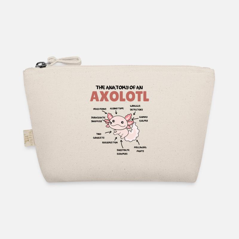 Axolotl Explication Anatomie d’un Axolotl Trousse biologique