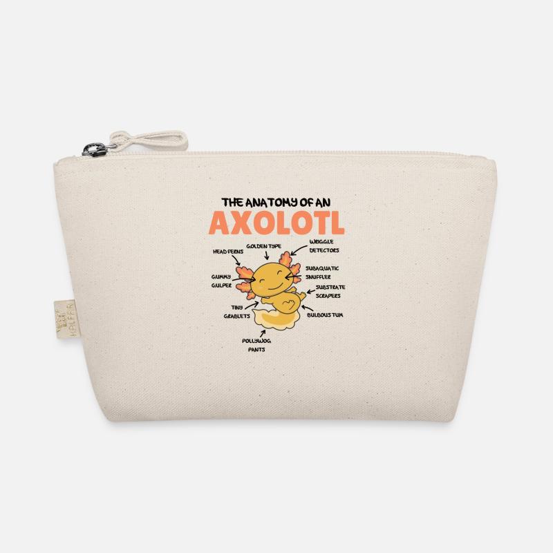 Axolotl Explication Anatomie d’un Axolotl Trousse biologique