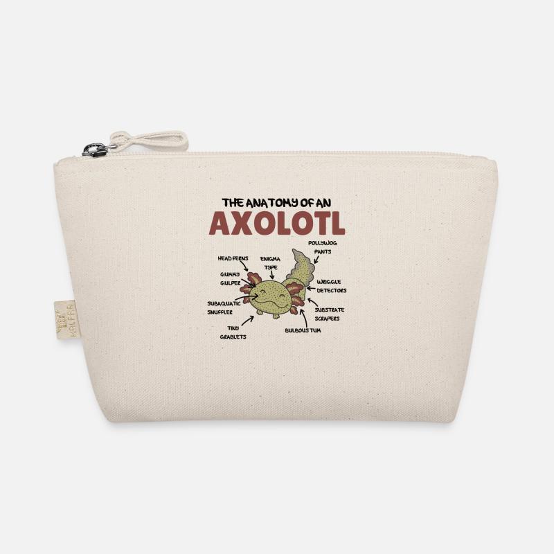Axolotl Explication Anatomie d’un Axolotl Trousse biologique