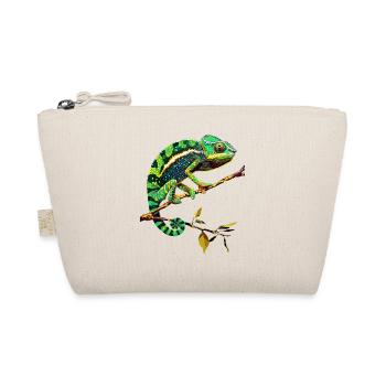Caméléon, Lézard, Reptile, Iguane, Lézard, Caméléons - Trousse biologique - nature - Devant