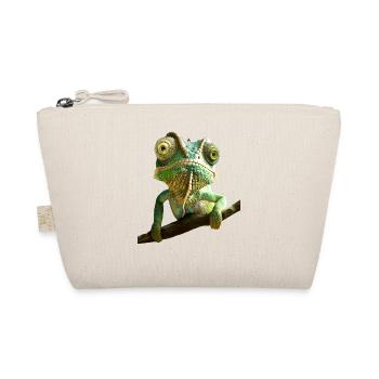 Caméléon, Lézard, Reptile, Iguane, Lézard, Caméléons - Trousse biologique - nature - Devant