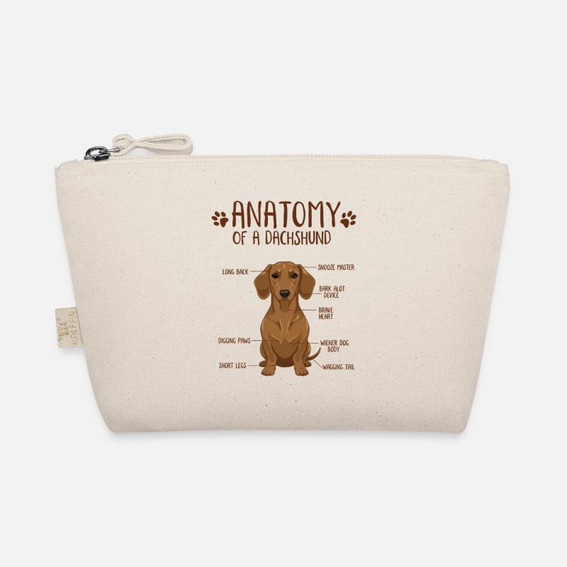 Anatomie d’un teckel Trousse biologique