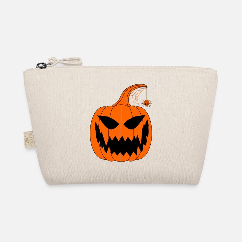 Citrouille d’Halloween avec araignée Trousse biologique