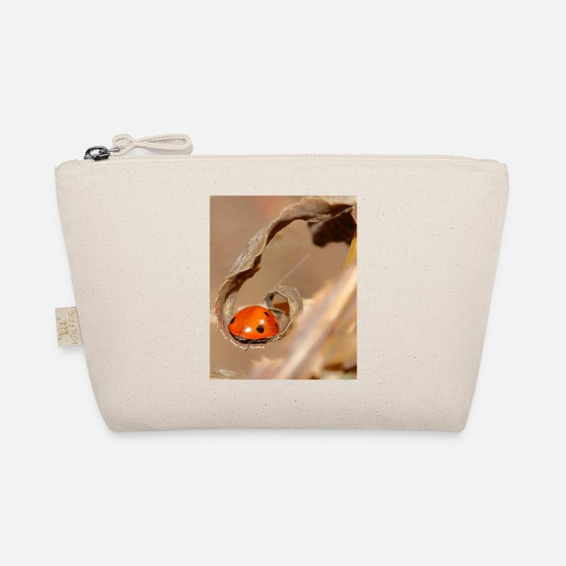 Coccinelle sur feuille séchée Trousse biologique