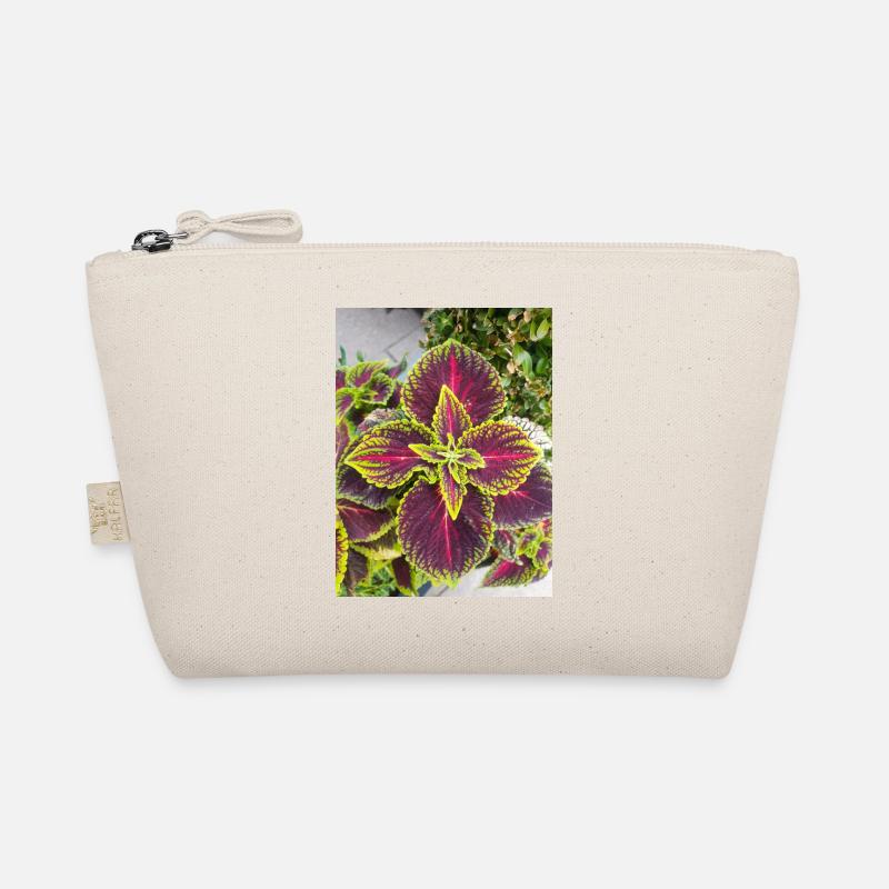 Joseph's coat also Chinese amaranth Organic Pouch