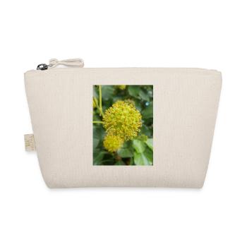 Lierre persan (en allemand Kolchischer Efeu) - Trousse biologique - nature - Devant