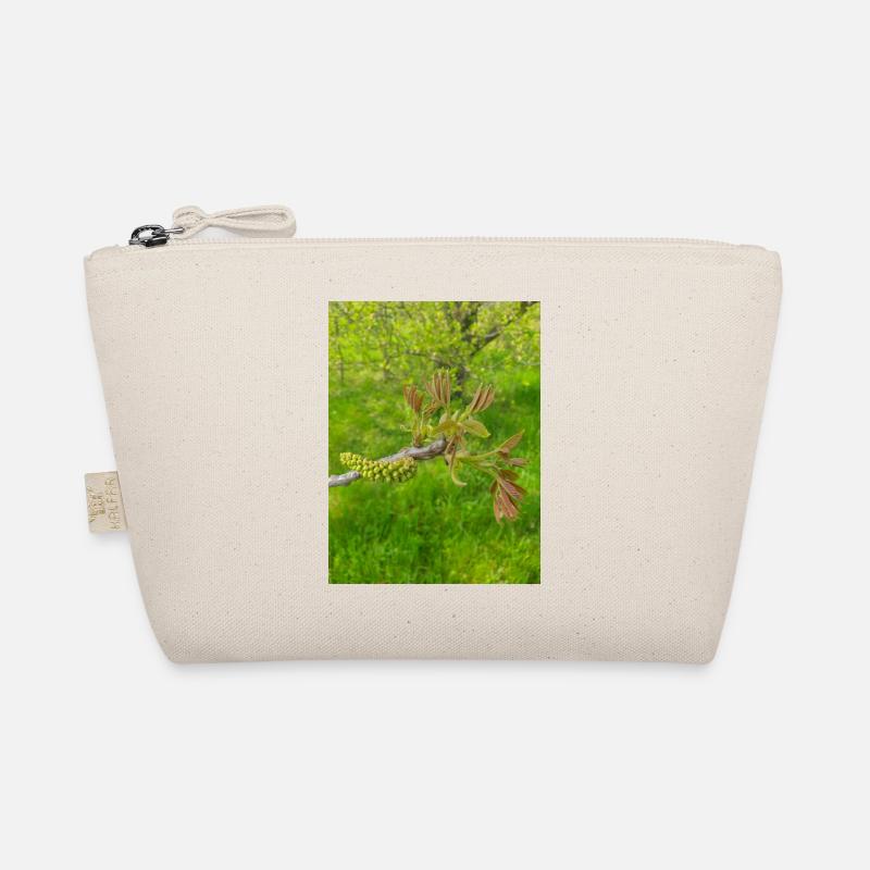 Persian walnut also common walnut Juglans regia Organic Pouch