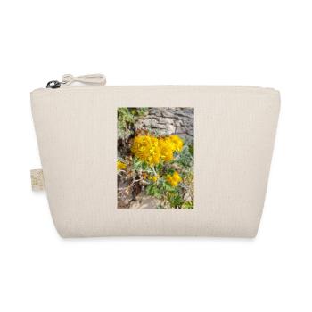 Jacobaea maritima aussi séneçon argenté Greiskraut - Trousse biologique - nature - Devant