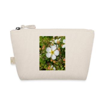 potentille de Felsen-Fingerkraut - Trousse biologique - nature - Devant