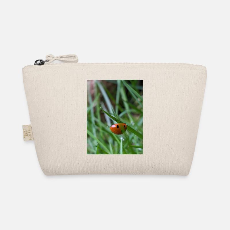 Gros plan : Coccinelle sur l’herbe Trousse biologique
