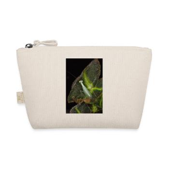 Tropidomantis cf tenue - Trousse biologique - nature - Devant