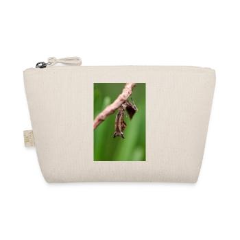 Brancsikia freyi Nymphe/Ourson - Trousse biologique - nature - Devant