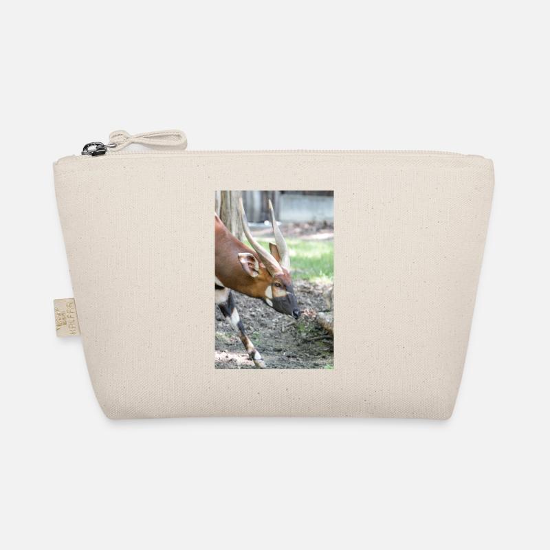 Bongo oriental (en allemand Bongo) Tragelaphus euryce Trousse biologique