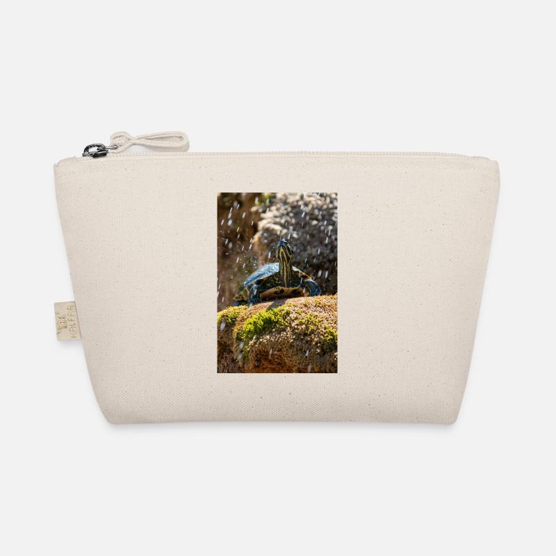 Trachemys scripta scripta scripta Trousse biologique