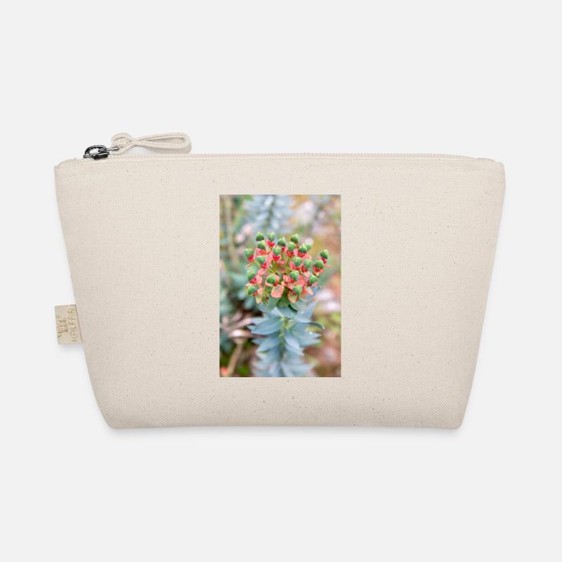 fleur colorée Wolfsmilch (Euphorbia) en fleurs Trousse biologique