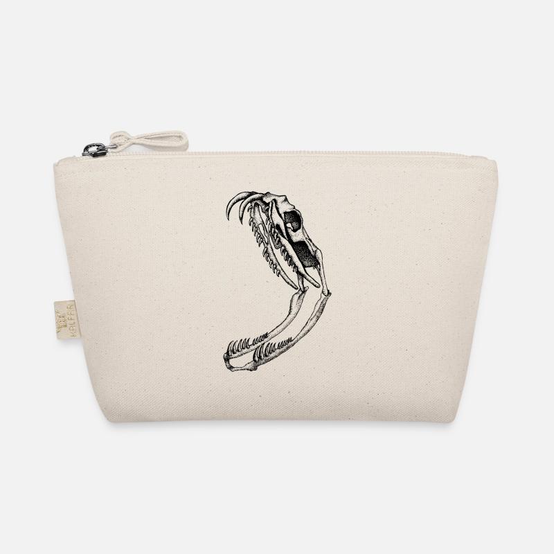 Crâne de serpent - Trousse biologique - nature