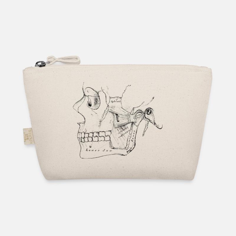 Corps humain - crâne - Trousse biologique - nature