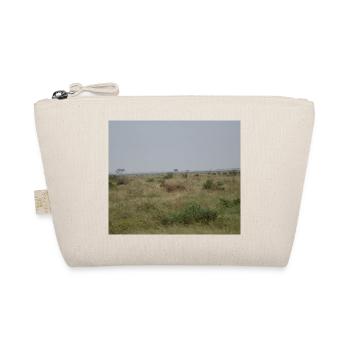 Lion dans la savane au crépuscule - Trousse biologique - nature - Devant