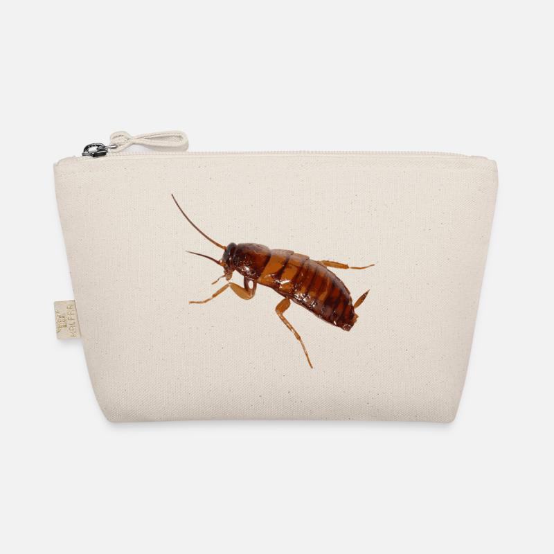 Cafard insecte cafard cafard Trousse biologique
