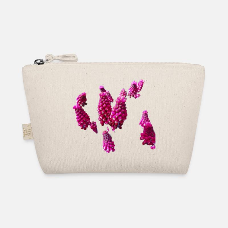 Fleurs,Fleur,Printemps,Fleurs,Jacinthes Trousse biologique