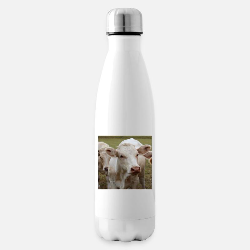 Affiche vache - Bouteille isotherme - blanc
