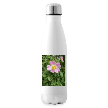sweet briar auch eglantine rose Weinrose - Isolierflasche - Weiß - Rechts