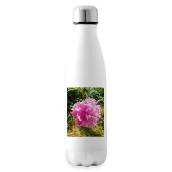 Chinese Peony Chinesische Pfingsrose , Pfingstrose - Isolierflasche - Weiß - Rechts