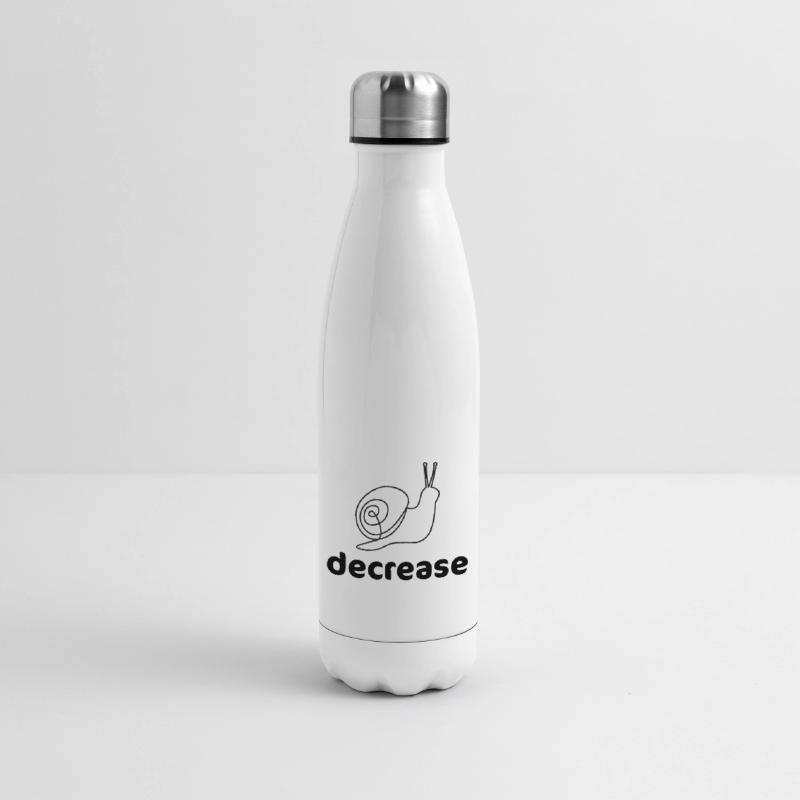 Insulated Water Bottle