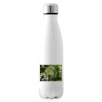 Traveller's Joy Clematis vitalba - Isolierflasche - Weiß - Rechts
