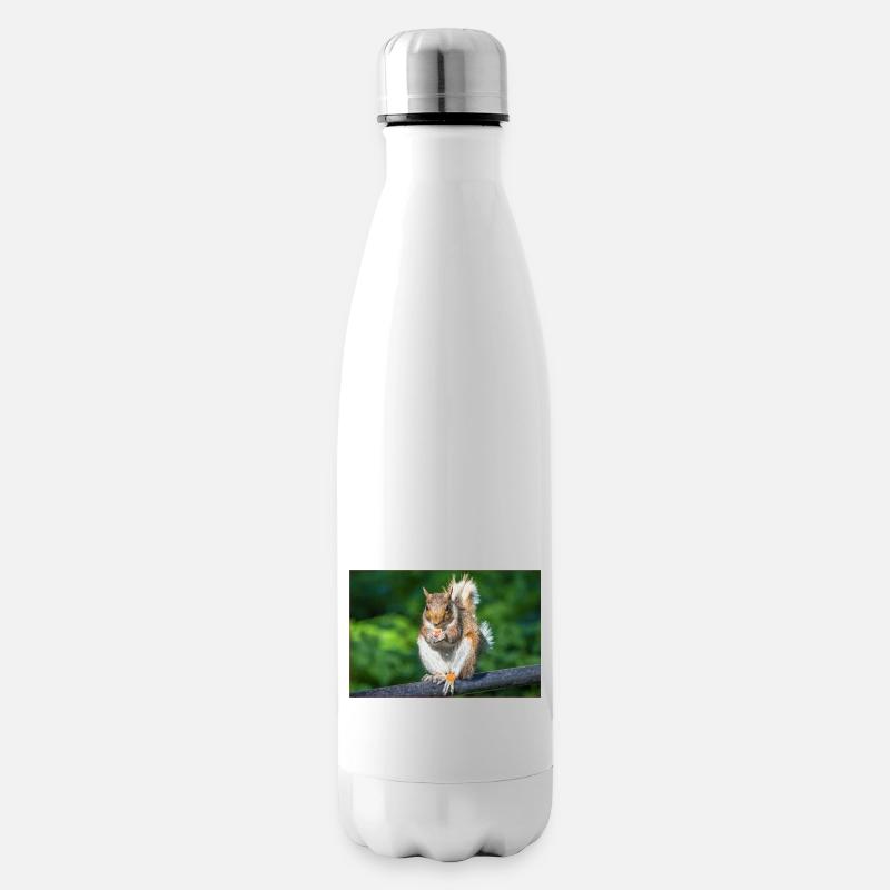 Essen Grauhörnchen Grauhörnchen Sciurus caroline - Isolierflasche - Weiß