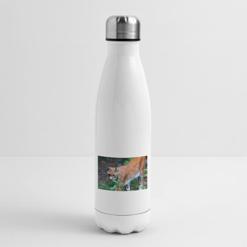 Eurasischer Luchs oder Nördlicher Luchs Isolierflasche