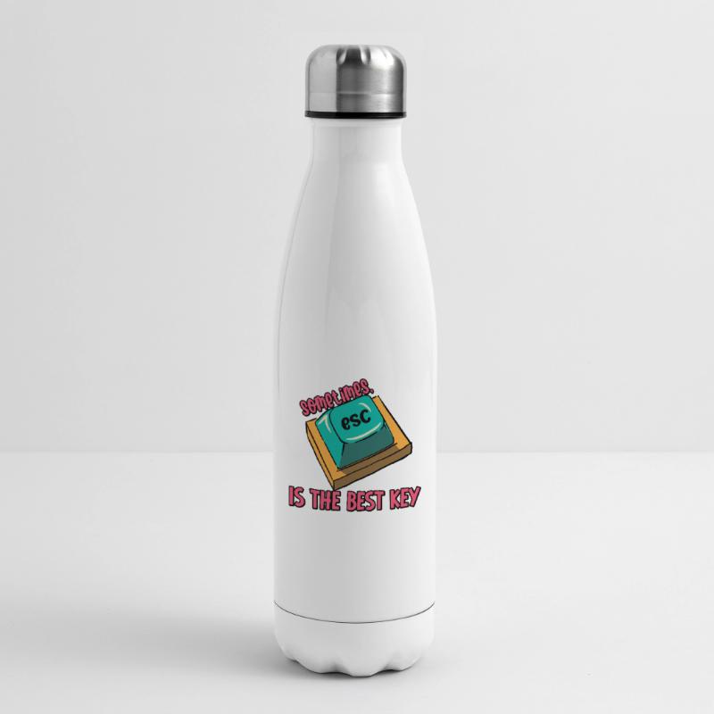 Software Engineer Computer Key Programming Insulated Water Bottle