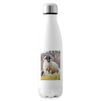 A Highland sheep with black a head in the Scottish - Isolierflasche - Weiß - Rechts