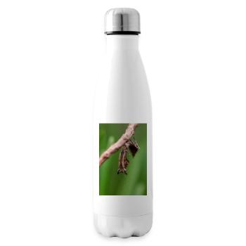 Brancsikia freyi Nymphe/Jungtier - Isolierflasche - Weiß - Rechts