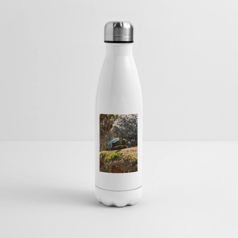 Bouteille isotherme