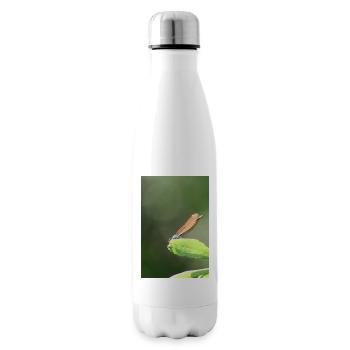 Damselfly Calopteryx Female Portrait - Insulated Water Bottle - white - Right
