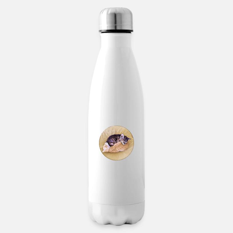 Zwei schlafende Tabby-Kätzchen, die sich gegenseitig halten - Isolierflasche - Weiß